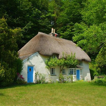 Lew Quarry Cottage Lewdown Dış mekan fotoğraf