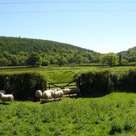 Lew Quarry Cottage Lewdown Dış mekan fotoğraf
