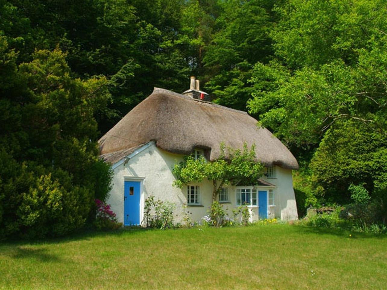 Lew Quarry Cottage Lewdown Dış mekan fotoğraf